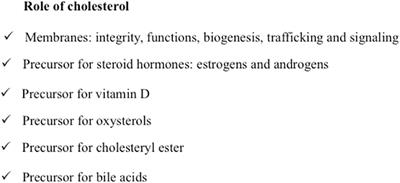 Role of Cholesterol and Lipid Rafts in Cancer Signaling: A Promising Therapeutic Opportunity?